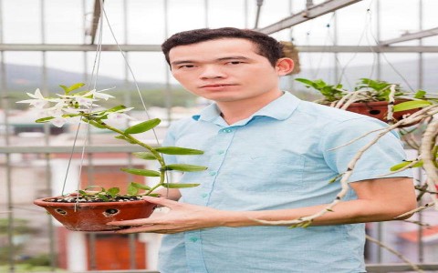Nguyễn Văn Hùng làm giàu với lĩnh vực xây dựng và phát triền ngành lan Var